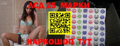гидропоника Дубна