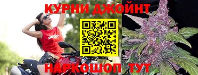 гидропоника Донской