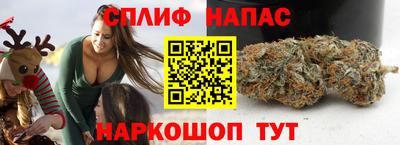 гидропоника Дубна