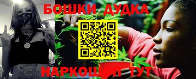 гидропоника Дубна