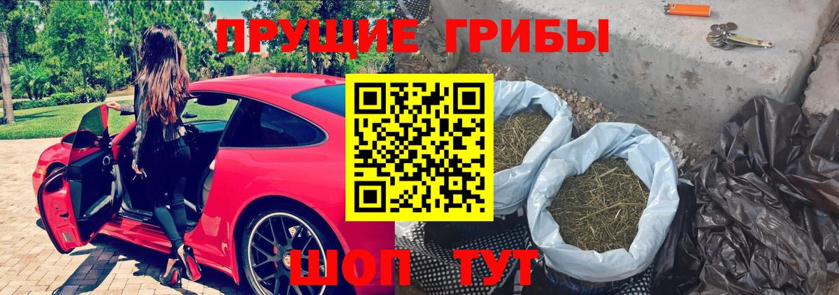 Галлюциногенные грибы Magic Shrooms Михайловск